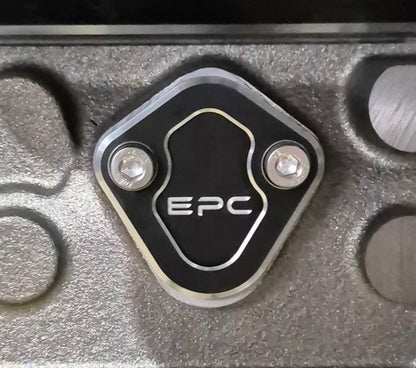 Fuel Pump Delete Plate 1