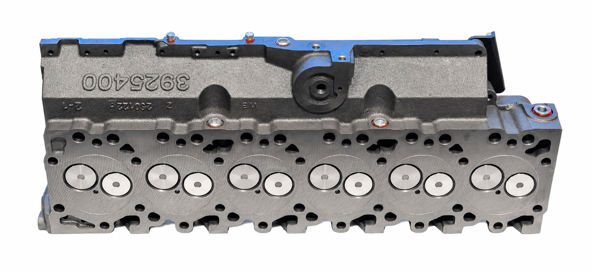 O-Ring 6bt head 